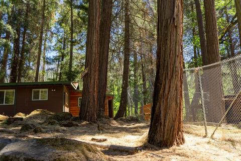 7159 Cedar Springs Rd, Mountain Ranch, CA 95246 photo 14