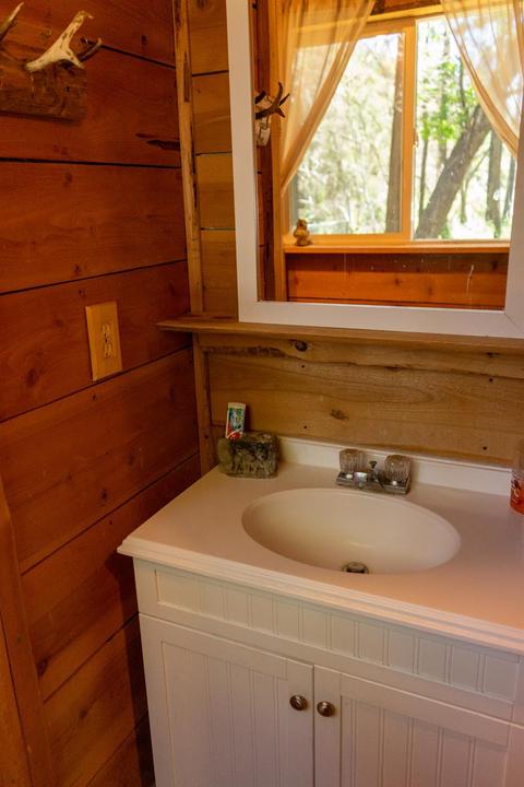 7159 Cedar Springs Rd, Mountain Ranch, CA 95246 photo 8