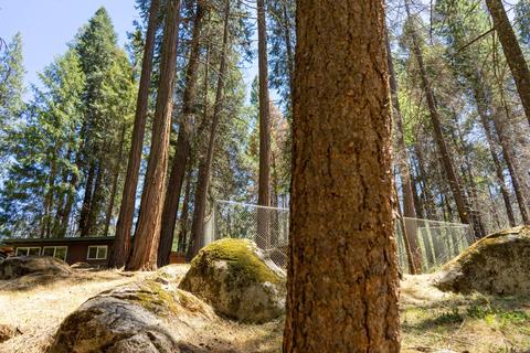 7159 Cedar Springs Rd, Mountain Ranch, CA 95246 photo 13
