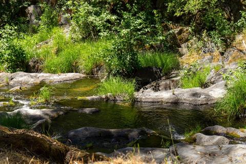 7159 Cedar Springs Rd, Mountain Ranch, CA 95246 photo 21