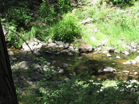 7159 Cedar Springs Rd, Mountain Ranch, CA 95246 photo 33