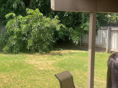 1618 Elizabeth Ct, Modesto, CA 95355 photo 16