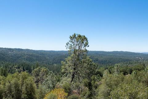 1646 Duden Dr, Placerville, CA 95667 photo 10