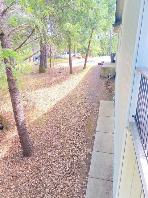 447 Catskill Dr, Colfax, CA 95713 photo 29