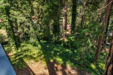 406 Alpine Dr, Colfax, CA 95713 photo 28