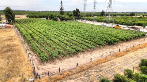 13137 E Kettleman Ln, Lodi, CA 95240 photo 61
