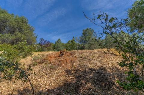17732 View Ter, Jackson, CA 95642 photo 29