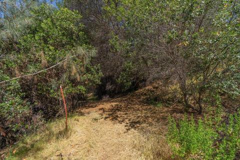 17732 View Ter, Jackson, CA 95642 photo 30