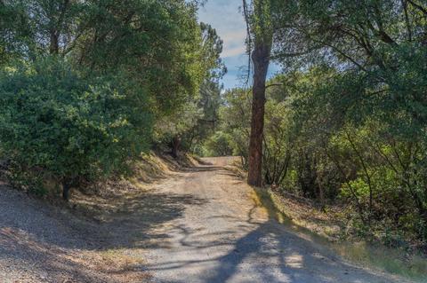 17732 View Ter, Jackson, CA 95642 photo 23