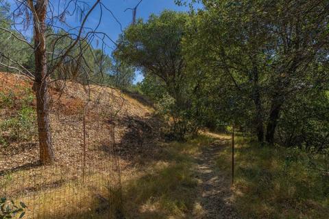 17732 View Ter, Jackson, CA 95642 photo 28