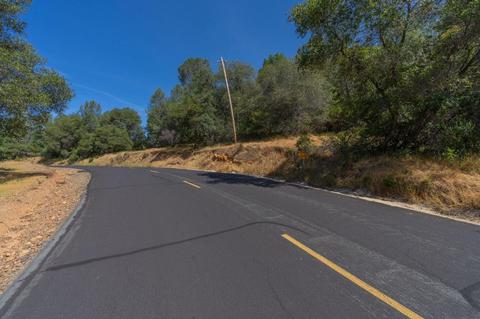 17732 View Ter, Jackson, CA 95642 photo 18