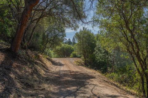 17732 View Ter, Jackson, CA 95642 photo 6