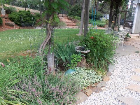 27405 Table Meadow Rd, Auburn, CA 95602 photo 41
