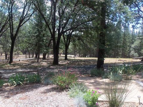 27405 Table Meadow Rd, Auburn, CA 95602 photo 4