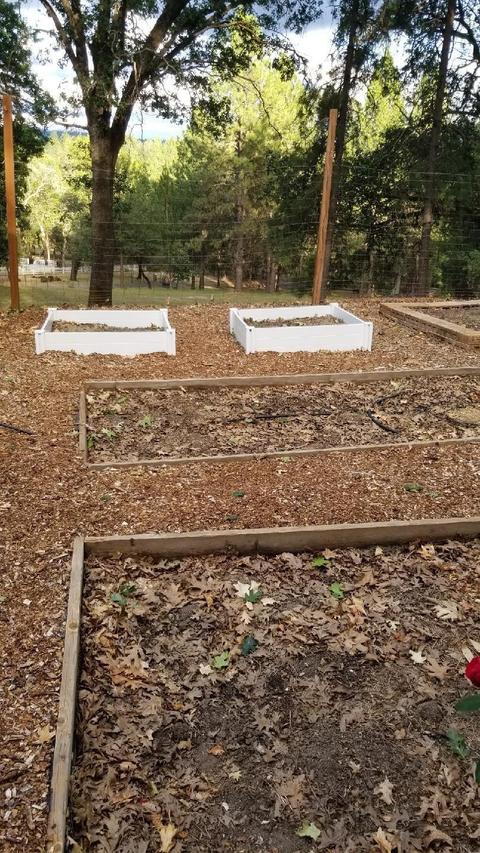 27405 Table Meadow Rd, Auburn, CA 95602 photo 34