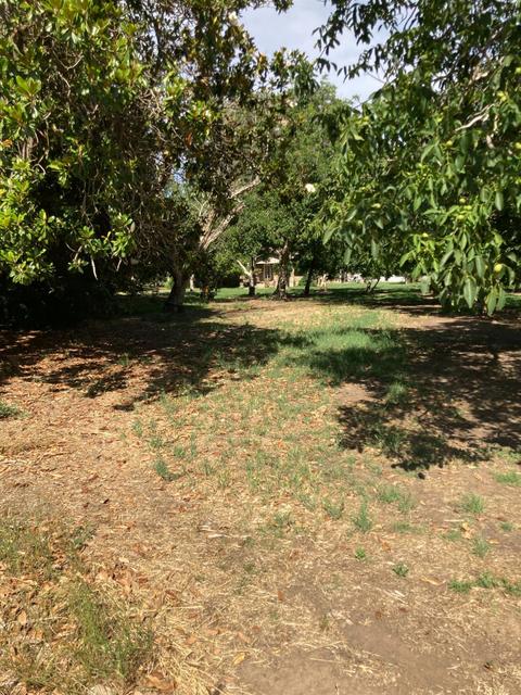 2686 Larkin Rd, Gridley, CA 95948 photo 5