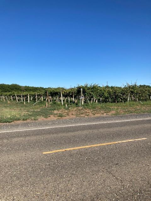 2686 Larkin Rd, Gridley, CA 95948 photo 3
