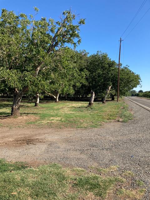 2686 Larkin Rd, Gridley, CA 95948 photo 6