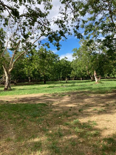 2686 Larkin Rd, Gridley, CA 95948 photo 8