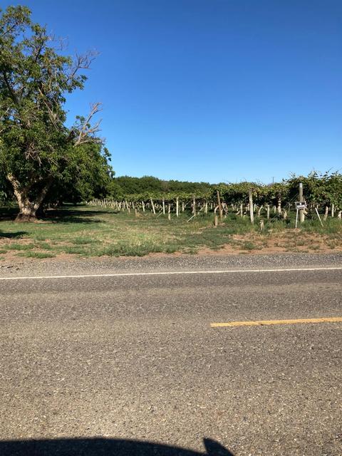 2686 Larkin Rd, Gridley, CA 95948 photo 20