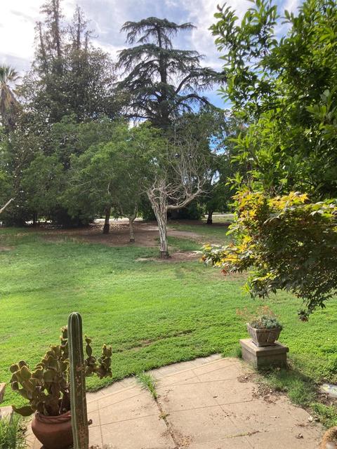 2686 Larkin Rd, Gridley, CA 95948 photo 12