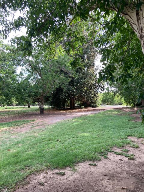 2686 Larkin Rd, Gridley, CA 95948 photo 19