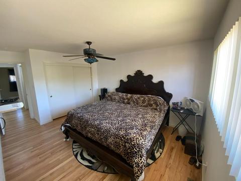 523 Maxwell Ln, Lathrop, CA 95330 photo 38