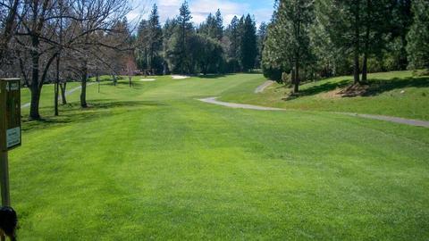 292 Forest Meadows Dr, Murphys, CA 95247 photo 14