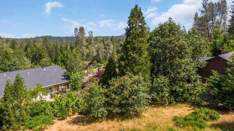 292 Forest Meadows Dr, Murphys, CA 95247 photo 13