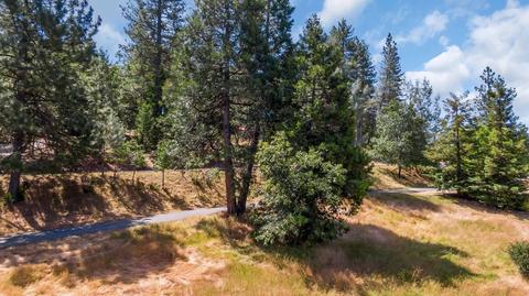 292 Forest Meadows Dr, Murphys, CA 95247 photo 5
