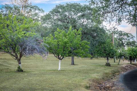 25855 Sweet Rd, Grass Valley, CA 95949 photo 76