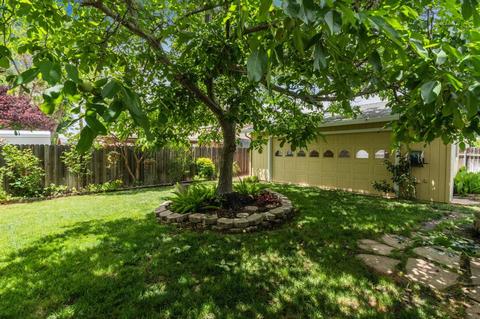 1301 Camphor Ln, Davis, CA 95618 photo 24