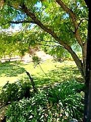 4132 Little John Rd, Copperopolis, CA 95228 photo 7