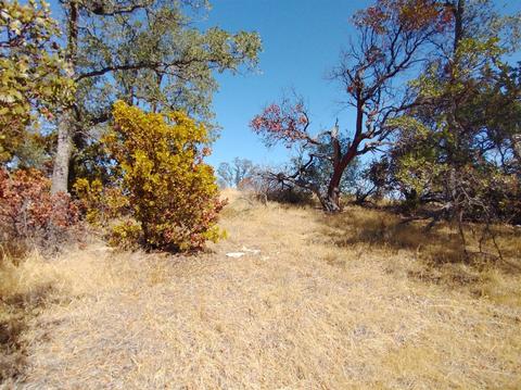 7151 Coyote Pt, Corning, CA 96021 photo 7