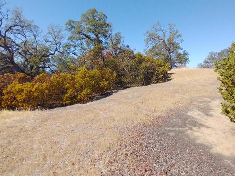 7151 Coyote Pt, Corning, CA 96021 photo 13