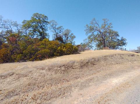 7151 Coyote Pt, Corning, CA 96021 photo 19