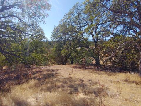 7151 Coyote Pt, Corning, CA 96021 photo 3