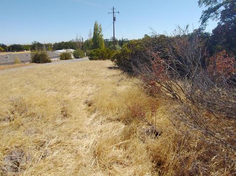 7151 Coyote Pt, Corning, CA 96021 photo 17