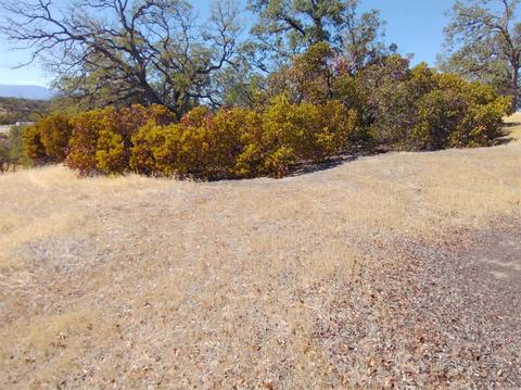 7151 Coyote Pt, Corning, CA 96021 photo 12