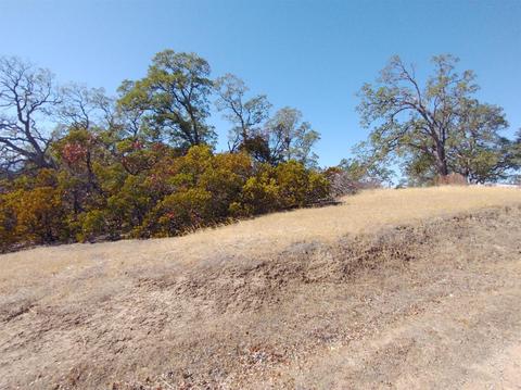 7151 Coyote Pt, Corning, CA 96021 photo 20
