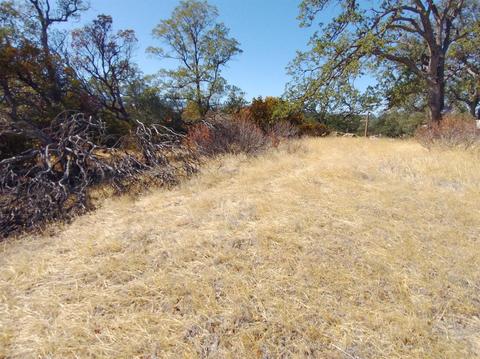7151 Coyote Pt, Corning, CA 96021 photo 2