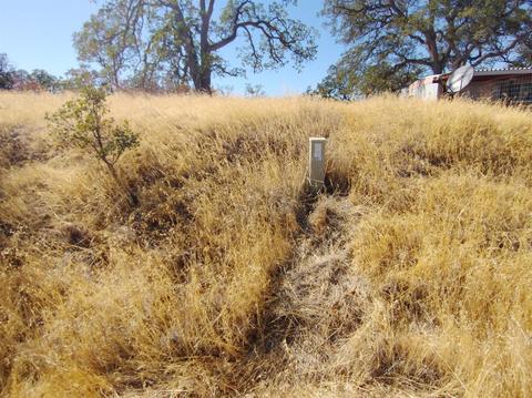 7151 Coyote Pt, Corning, CA 96021 photo 21