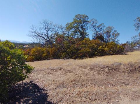 7151 Coyote Pt, Corning, CA 96021 photo 18