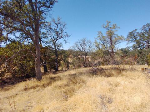 7151 Coyote Pt, Corning, CA 96021 photo 11