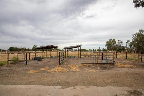 25341 N Jack Tone Rd, Acampo, CA 95220 photo 36