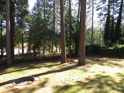 1085 Hillcrest Blvd, Colfax, CA 95713 photo 34