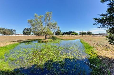 8261 Dillard Rd, Wilton, CA 95693 photo 14