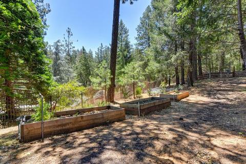 305 Thunder Rd, Colfax, CA 95713 photo 32