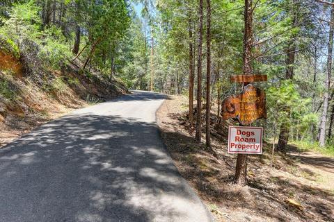 305 Thunder Rd, Colfax, CA 95713 photo 42