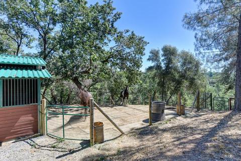 2161 Balloon Ridge Ct, Cool, CA 95614 photo 64